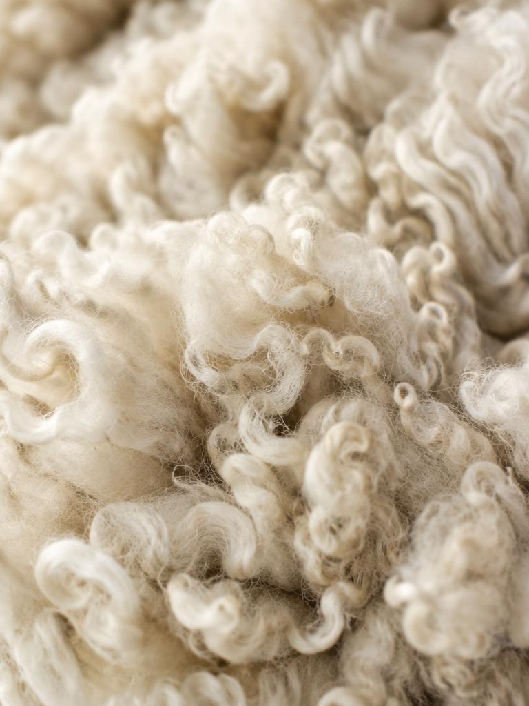 Schapenwol: crèmekleurige krullende wol als isolatiemateriaal